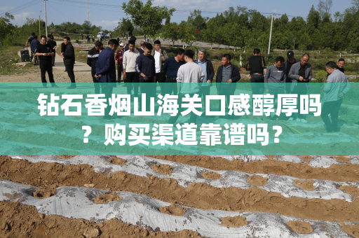 钻石香烟山海关口感醇厚吗？购买渠道靠谱吗？